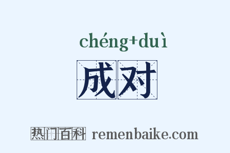 成对是什么意思的图片